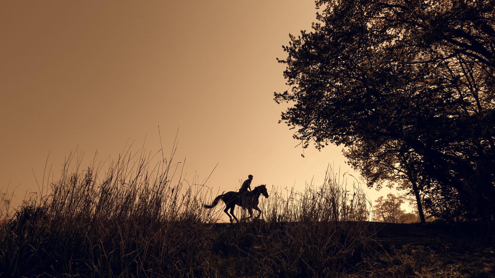 Mennyi idő lenne lóháton elérni Európa kedvenc turistahelyeit?