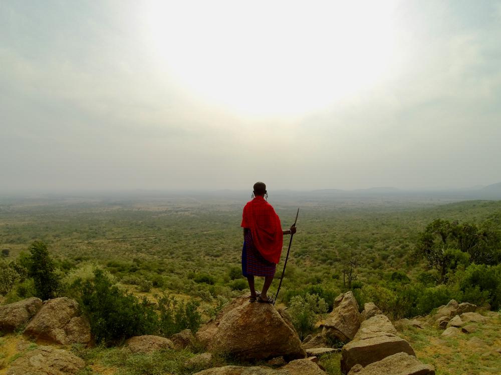 5 történet, amely bebizonyítja, hogy csodás világban élünk