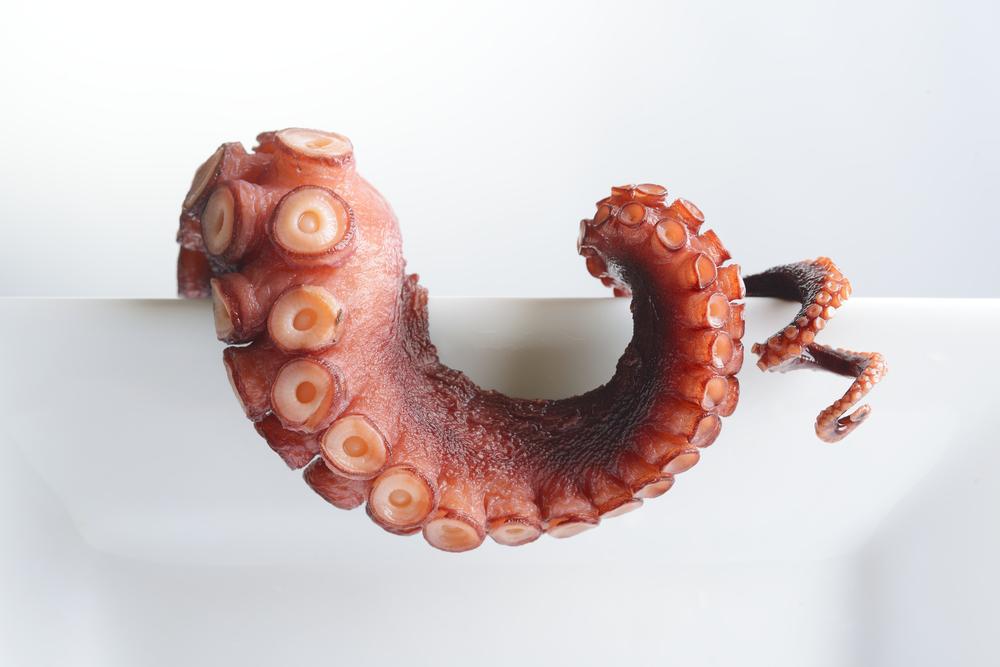 5 elképesztő étel, amit nem mersz kipróbálni!