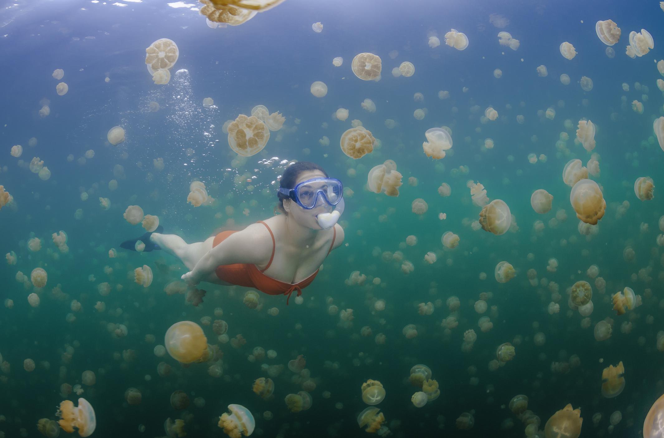 És te úsznál a medúzatóban?