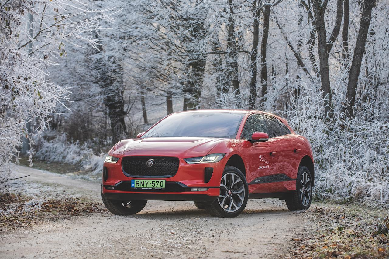 Energikus és környezetkímélő nagymacska