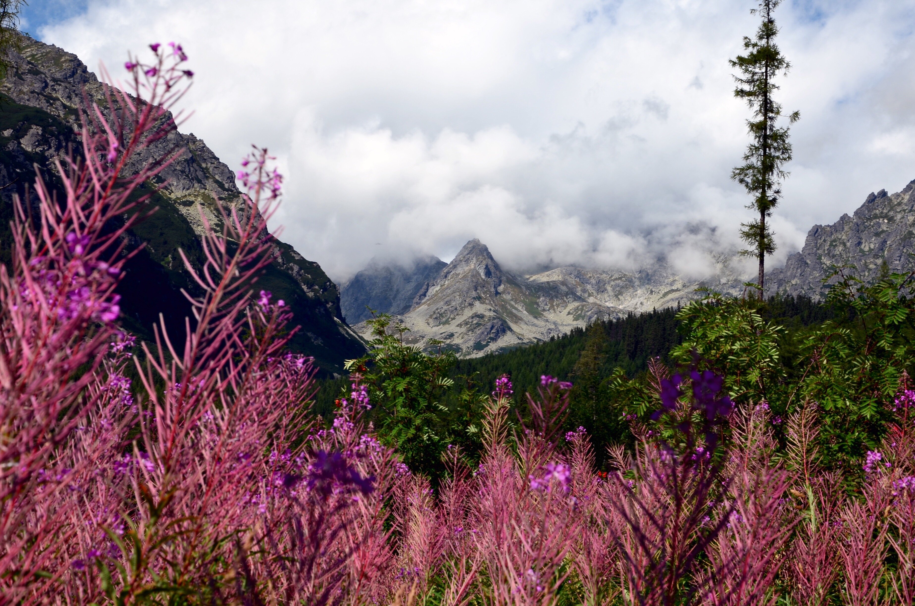 Fedezd fel a Tátra legizgalmasabb túraútvonalait!