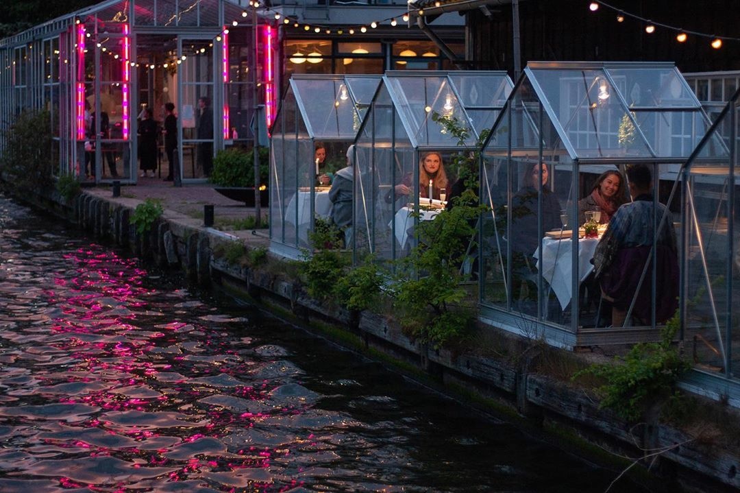 Egy kellemes vacsora az „üvegházban?”