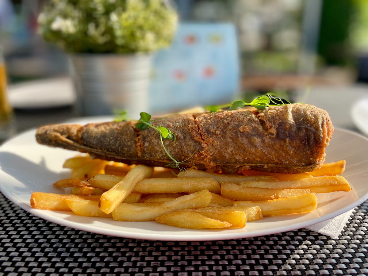 A „balatoni" hekk legendája: 12 ezer kilométert utazik az egyik kedvenc strandételünk