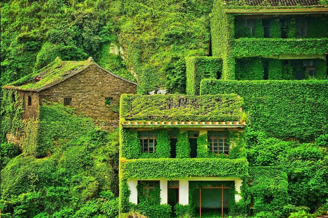 Kína elfeledett halászfaluja, amit a természet visszakövetelt