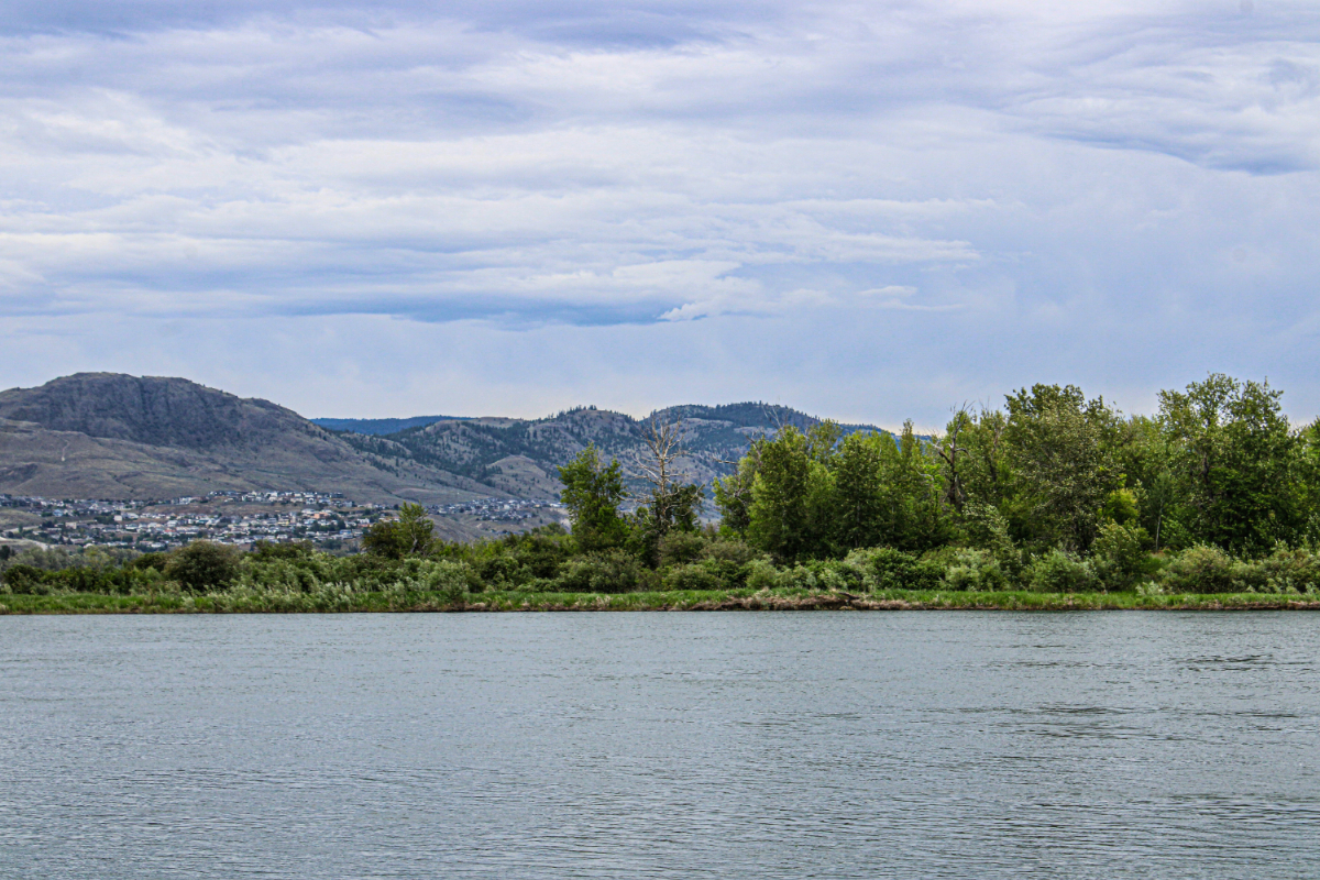 Annyira alacsonyan áll a Szamos, hogy előbukkant az egykori csengeri fahíd - képek!