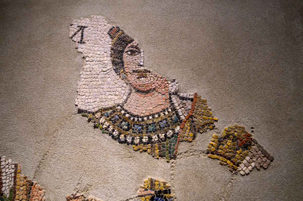 4 izgalmas kiállítás Budapesten, amit nem érdemes kihagyni az ősszel