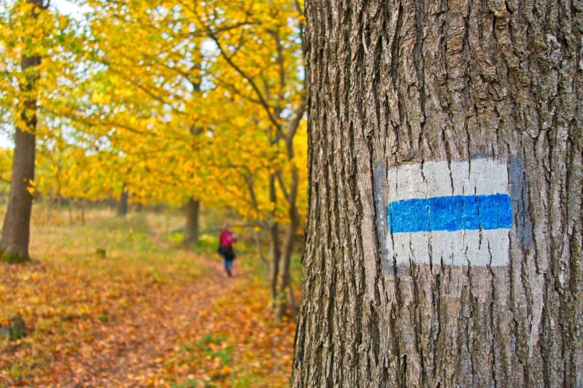 5 könnyed Kéktúra-útvonal az aktív feltöltődéshez