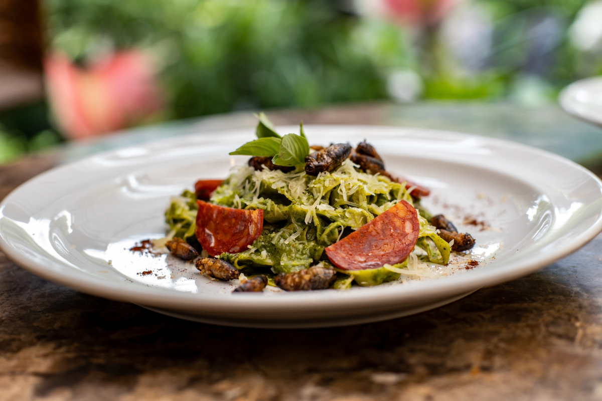 Meglepő fogásokkal debütált London legelső rovarétterme