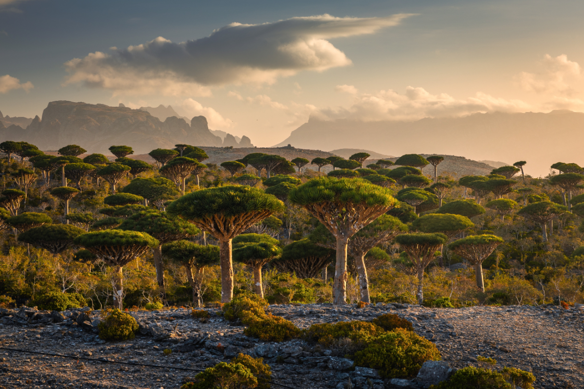 Kész turistaparadicsom bújik meg a világ egyik legveszélyesebb országában