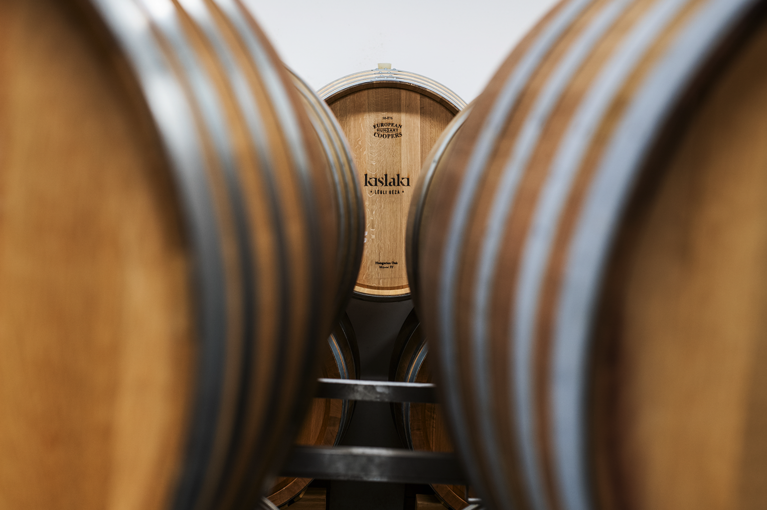 Télen a Balatonon: egy tradícionális borospince, ha kipihennéd 2023-at