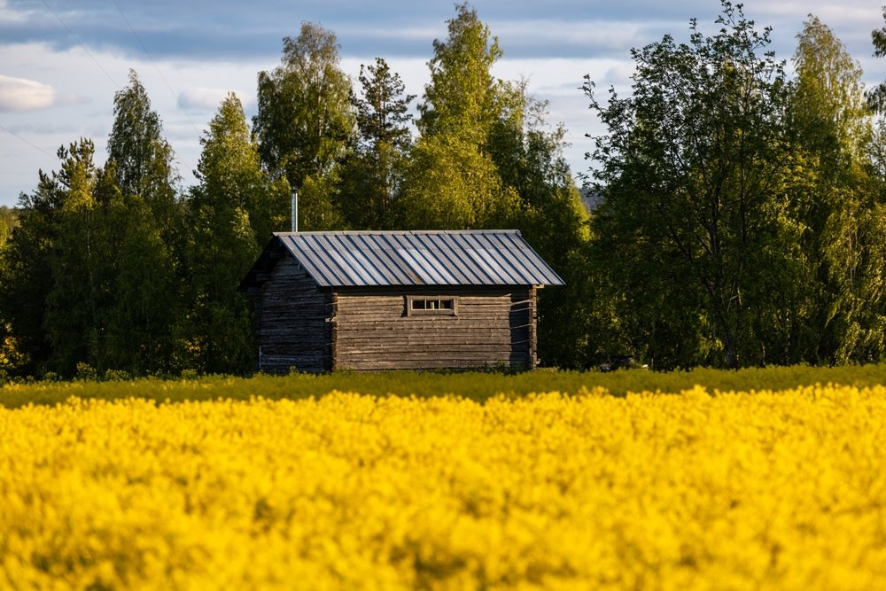 Fenntartható városban szeretnél élni? Svédország tárt karokkal és betöltetlen állásokkal vár