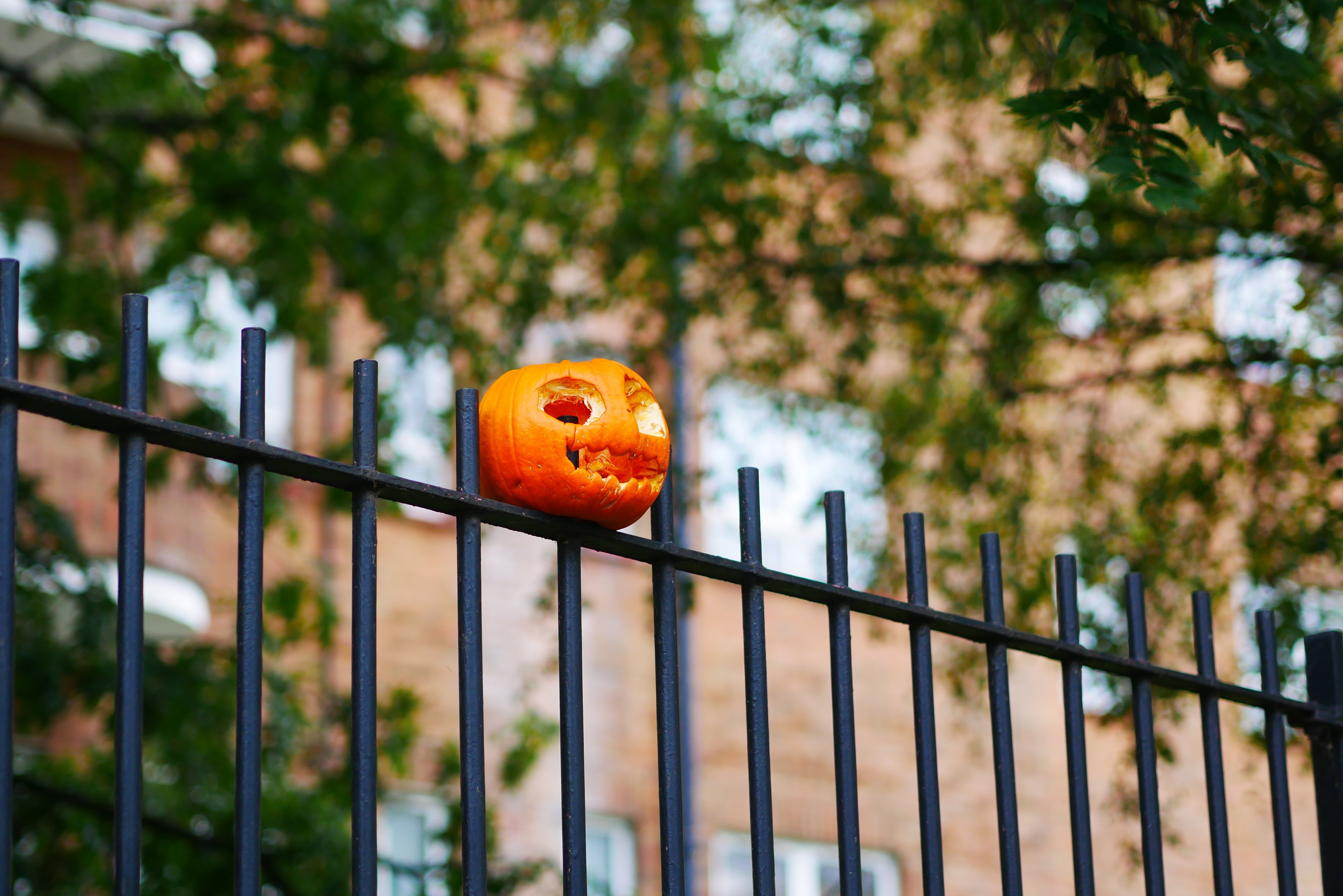4 város, ahol akaratunk ellenére is halloweeni programokba csöppenhetünk
