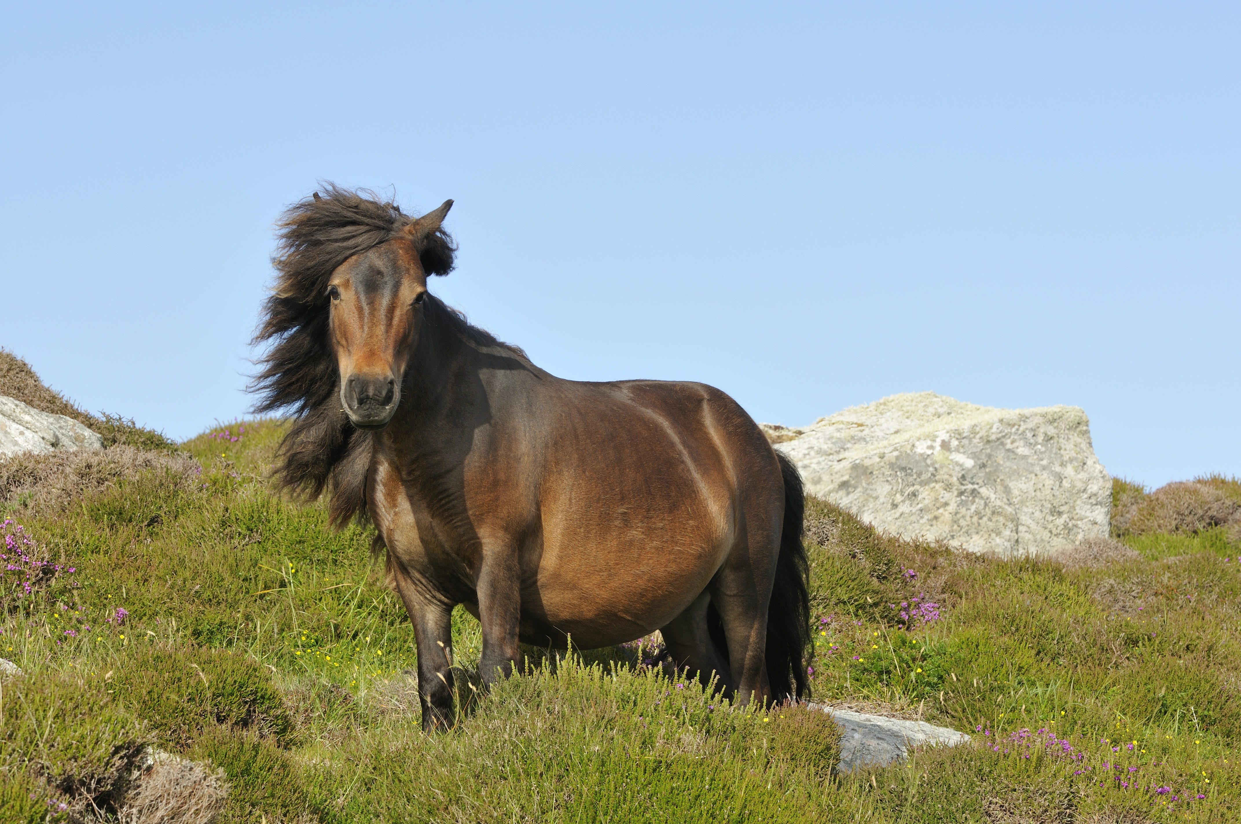 Furcsa törvények a világból, amikről szinte biztos, hogy nem hallottál