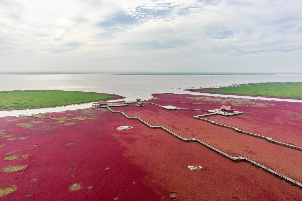 Ezért ilyen színes a Red Beach, vagyis a vörös tengerpart