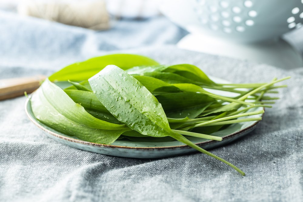 Itt a medvehagymaszezon! – fontos tudnivalók és receptek