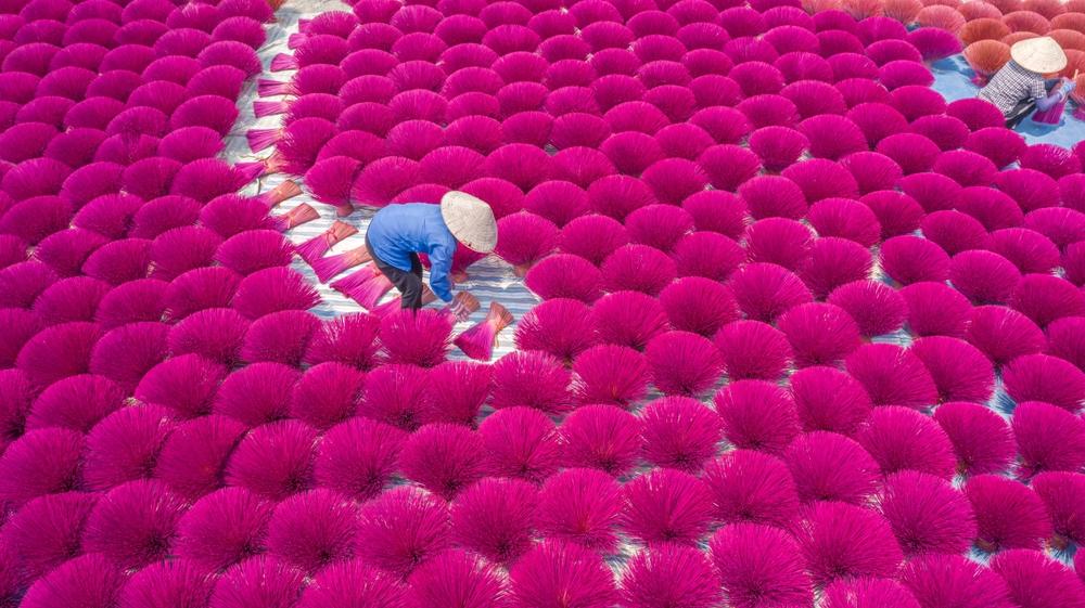 Vadássz magenta színre az egész világon!