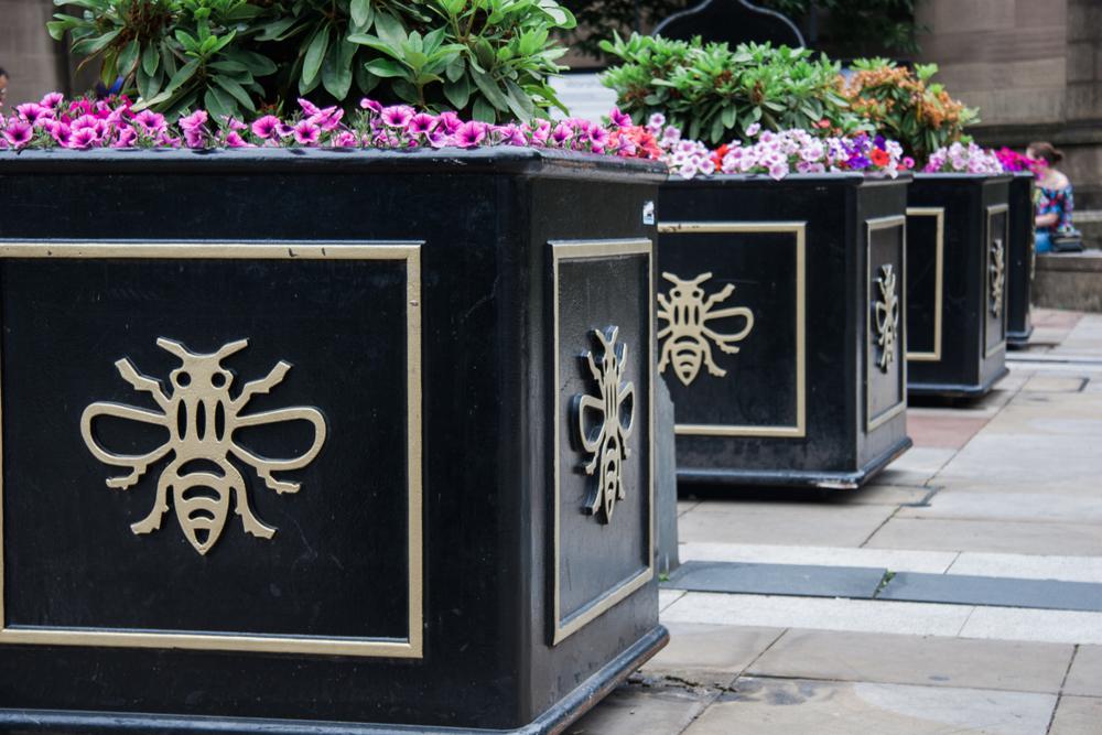 Minden a méhekről szól 2022-ben – Még a turizmusban is!