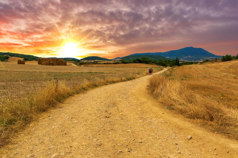 Makranczi Zalán életében még mindig utat mutat az El Camino