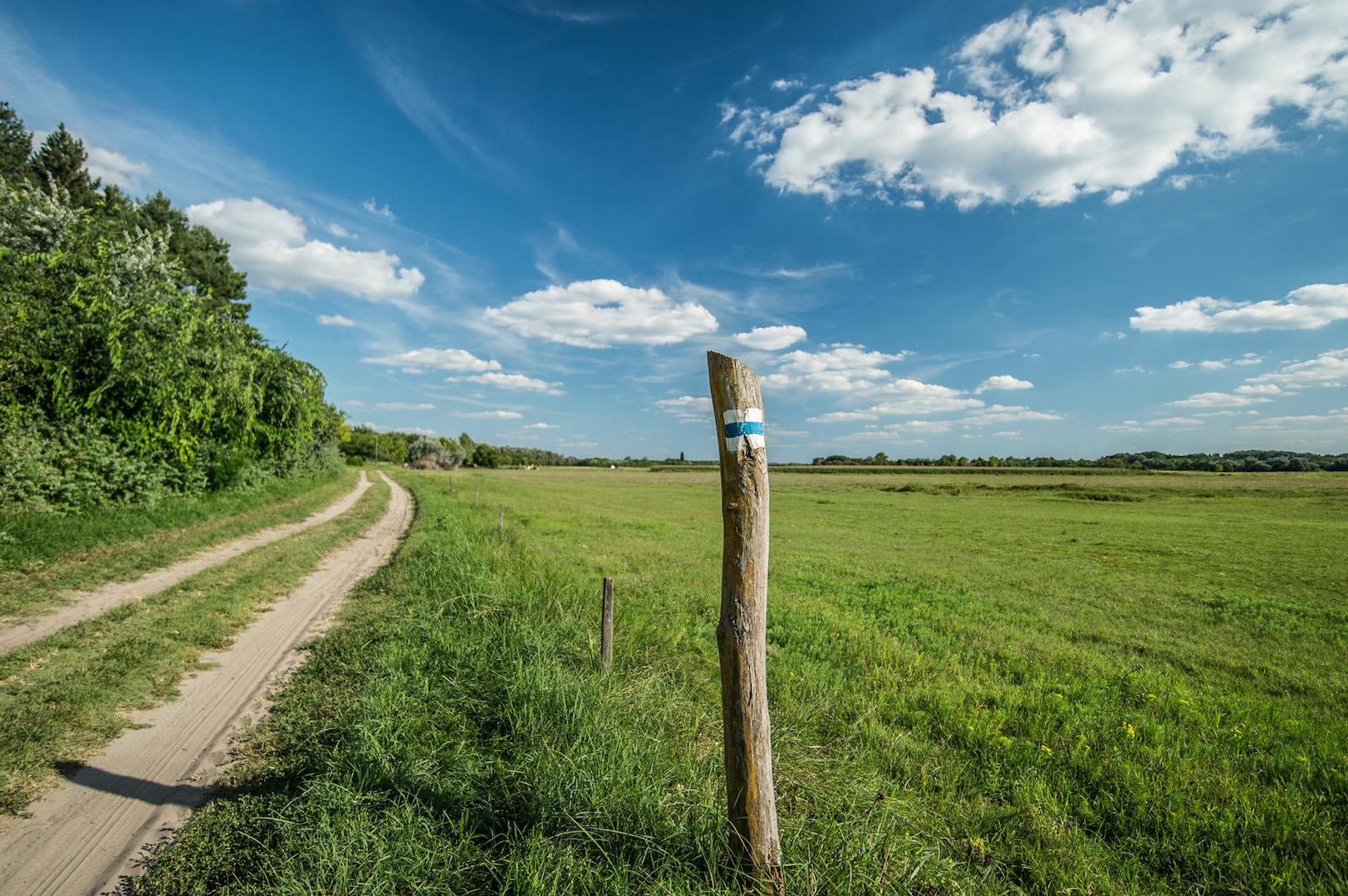 Kéktúra az alföldi rónán